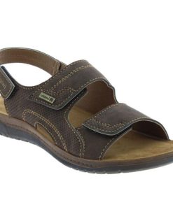 Epochattire.shop14a006c2a2 1