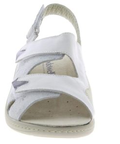 Epochattire.shopec39dd1916 2