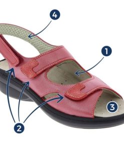 Epochattire.shopfcad9da6d3 2