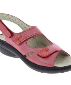 Epochattire.shopfcad9da6d3 3